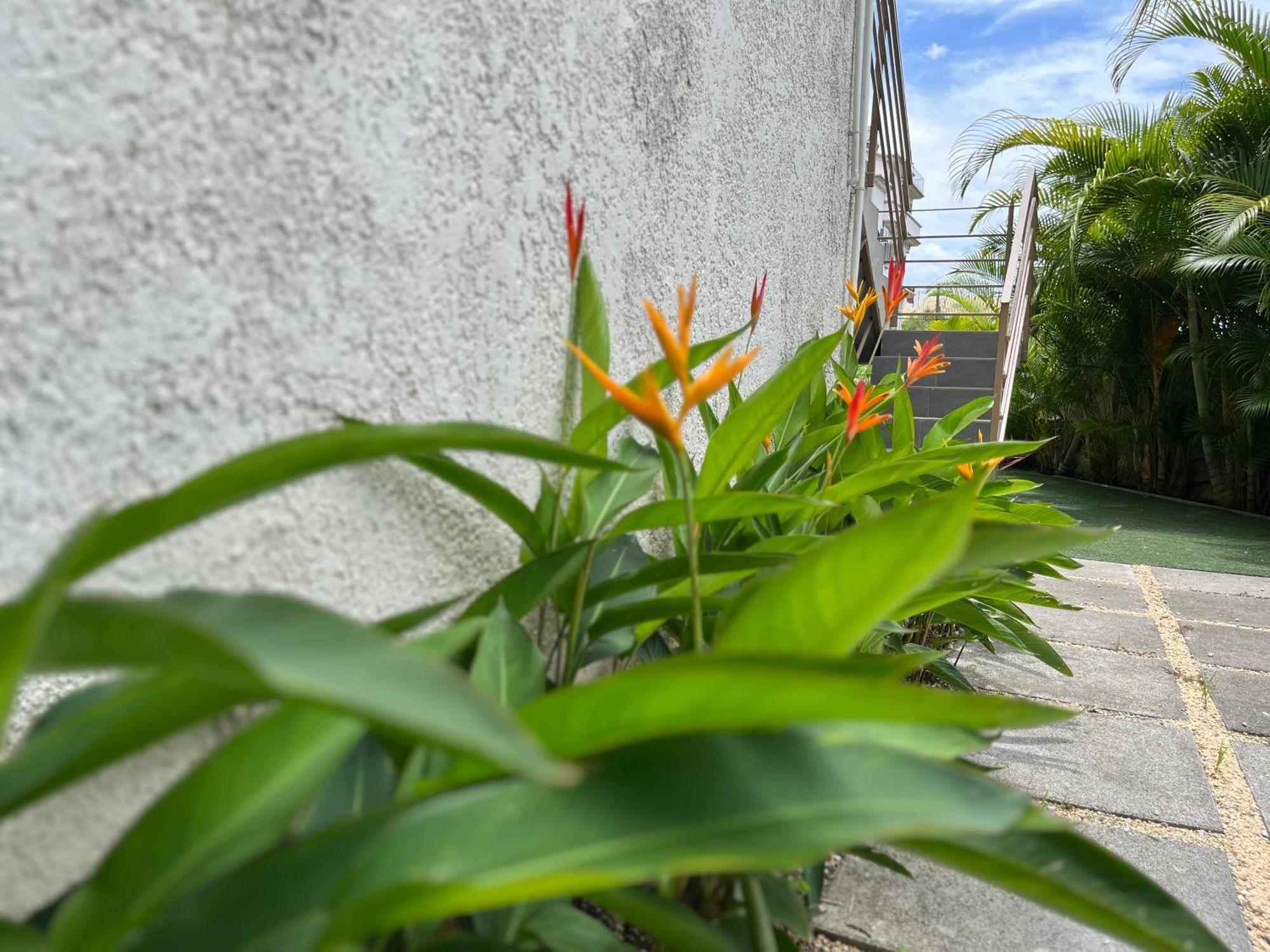 Seasons Break Apartment Pereybere Pereybere Beach エクステリア 写真